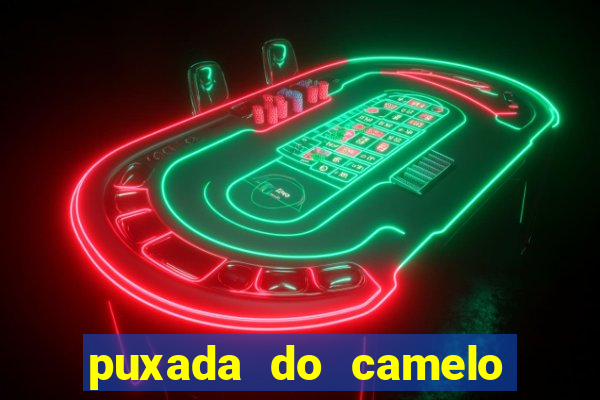 puxada do camelo no jogo do bicho